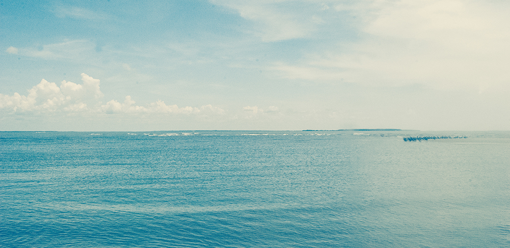 HBR: Are the People Who Take Vacations the Ones Who Get Promoted?