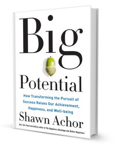 Big Potential-3d-book